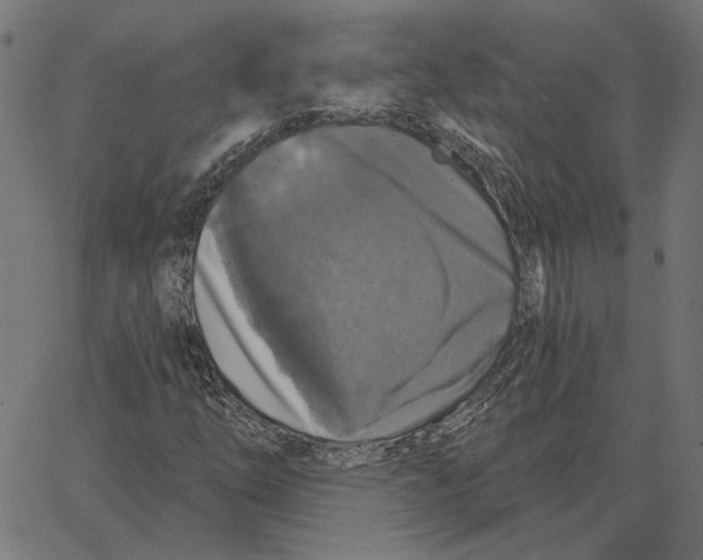 X0000067371254200604281741