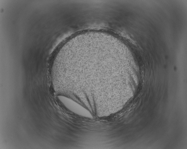 X0000067371256200604281741