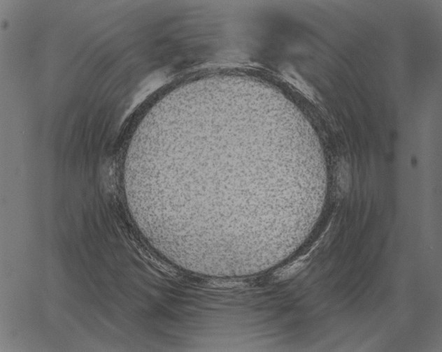 X0000067371258200604281741