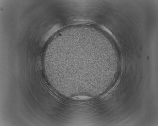 X0000067371259200604281741