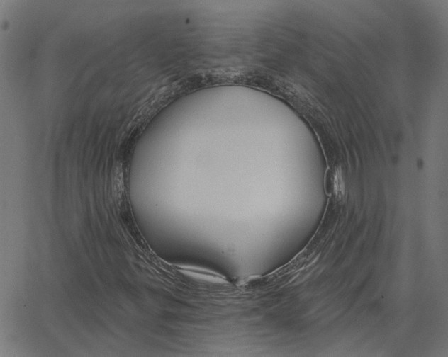 X0000067371299200604281740