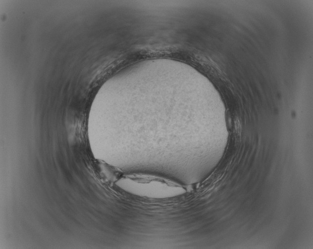 X0000067371300200604281740