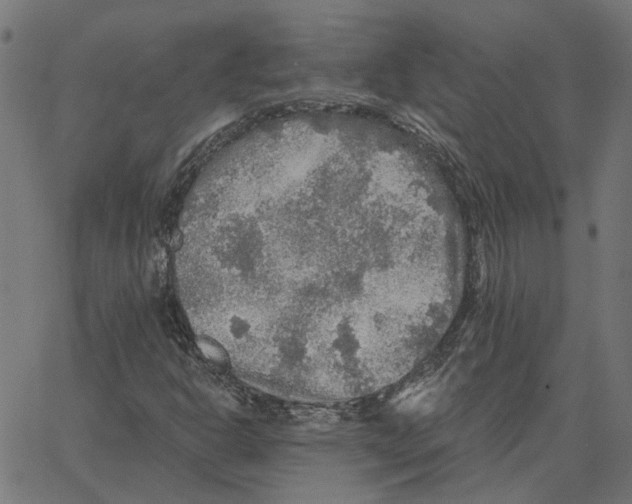 X0000067371302200604281740