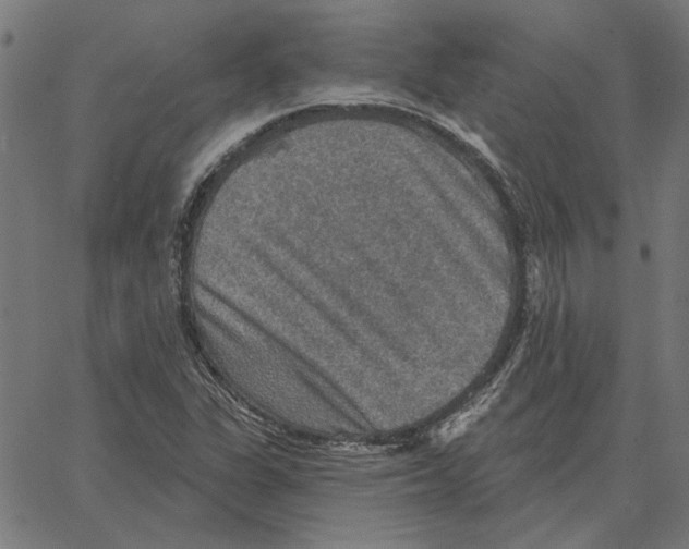 X0000067371311200604281740