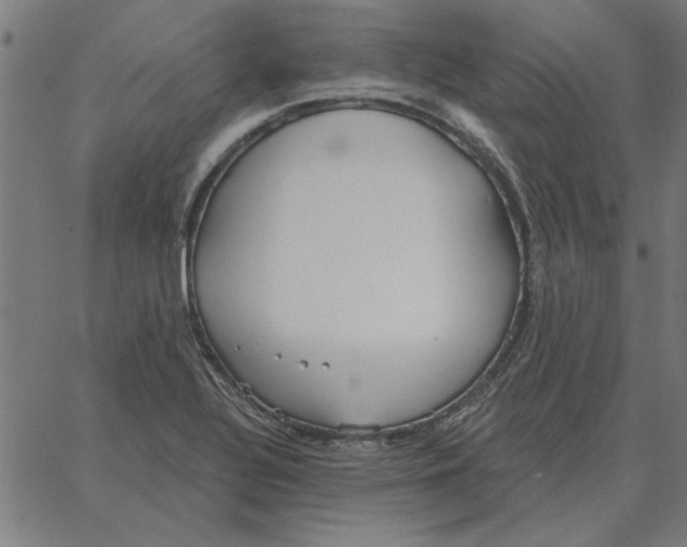 X0000067371320200604281740