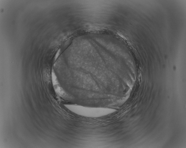 X0000067371348200604281740