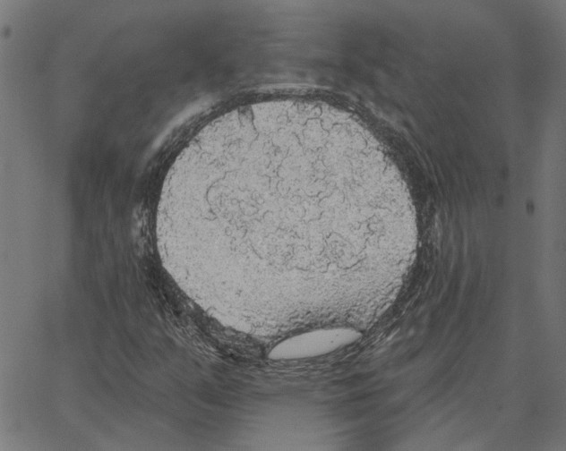 X0000067371351200604281740