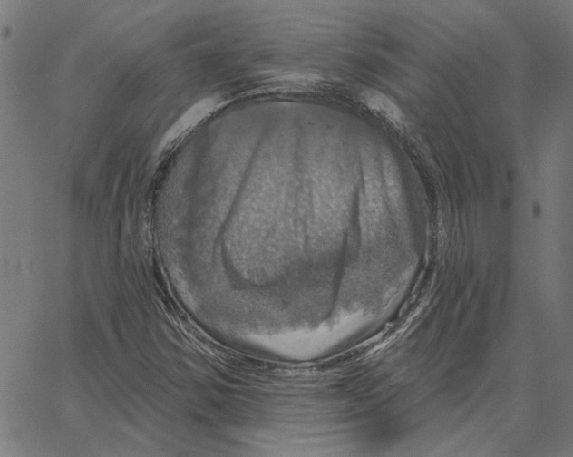 X0000067371354200604281740