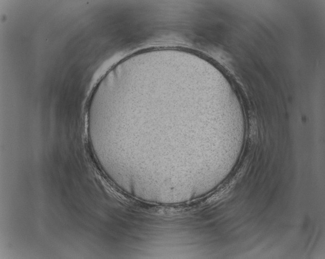 X0000067371366200604281740