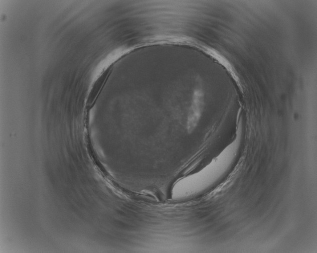 X0000067371373200604281740