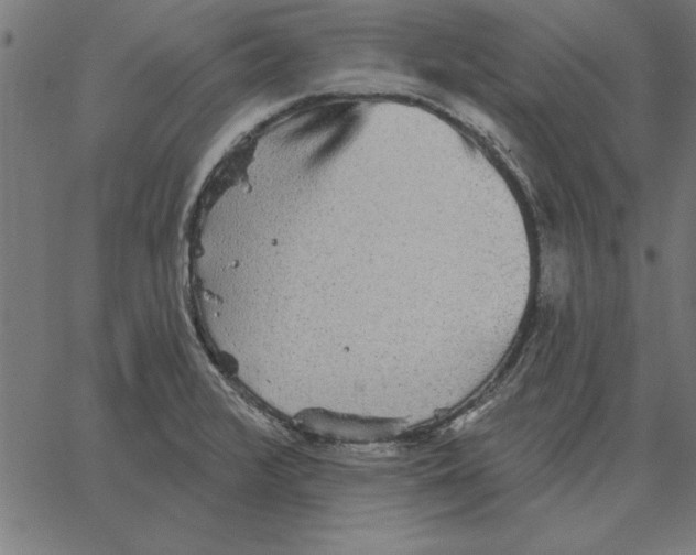 X0000067371376200604281739