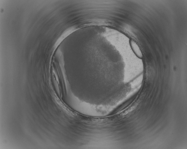 X0000067371378200604281739