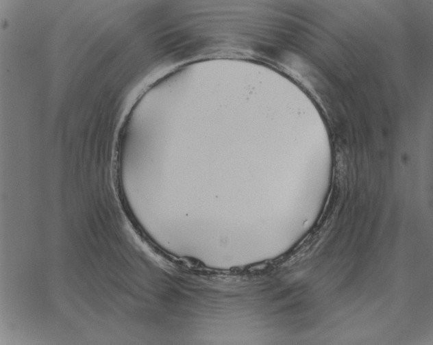 X0000067371379200604281739