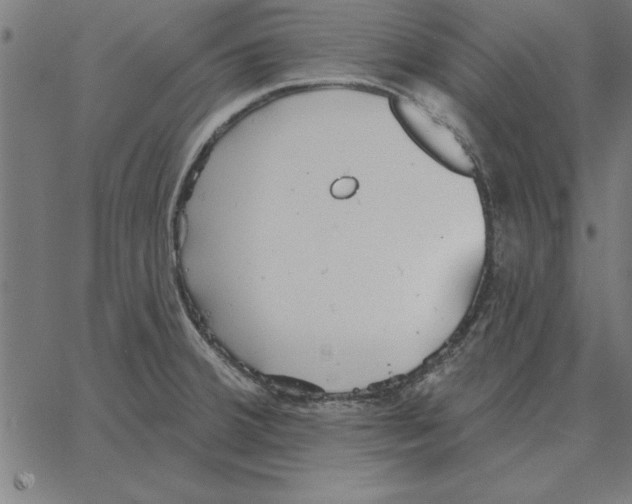 X0000067371380200604281739