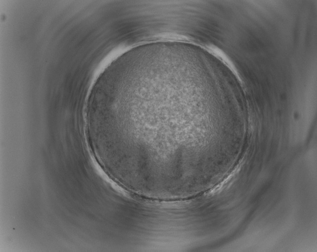 X0000067371381200604281739