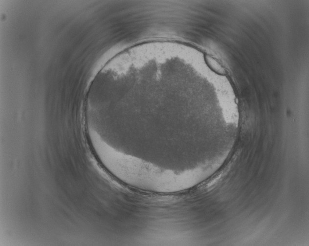 X0000067371382200604281739