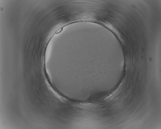 X0000067371383200604281739