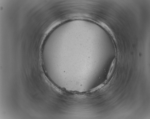 X0000067371384200604281739