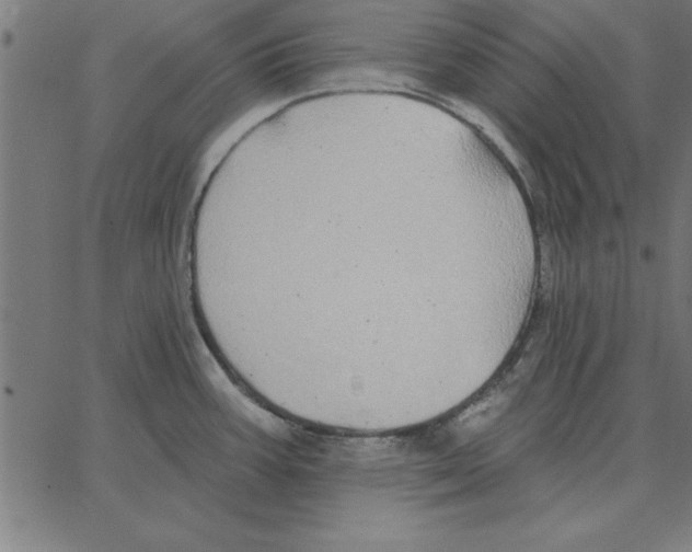 X0000067371387200604281739