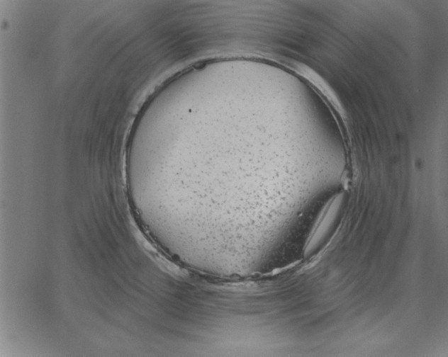 X0000067371388200604281739