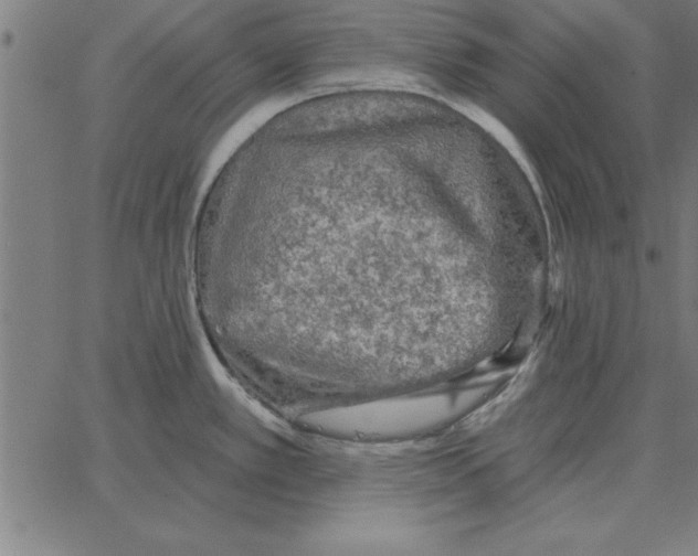 X0000067371389200604281739