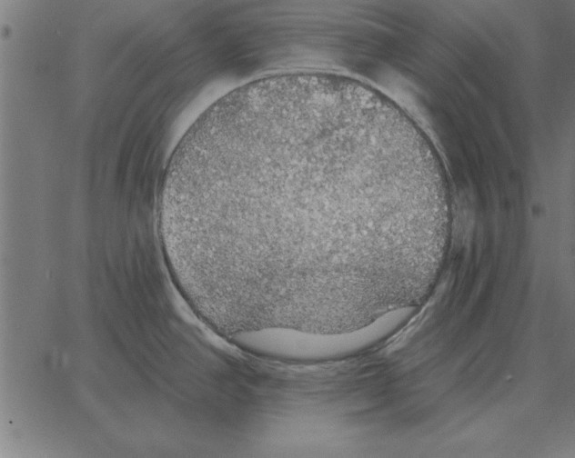 X0000067371390200604281739