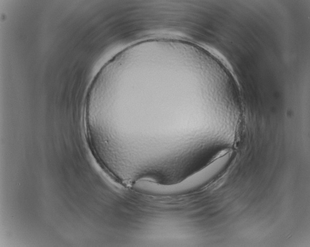 X0000067371391200604281739