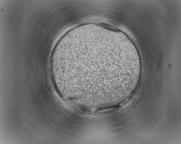 X0000067371392200604281739