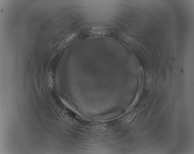 X0000067371394200604281738