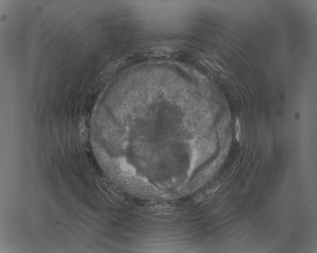 X0000067371395200604281738