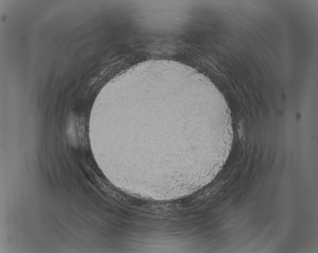 X0000067371396200604281739