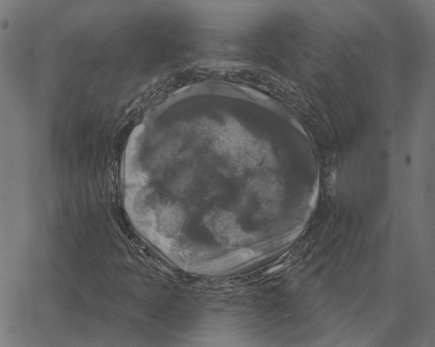 X0000067371397200604281739