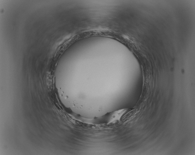 X0000067371398200604281739