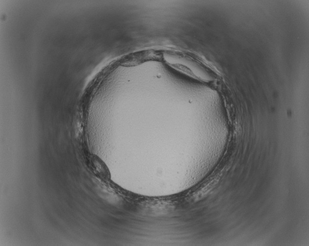 X0000067371400200604281739