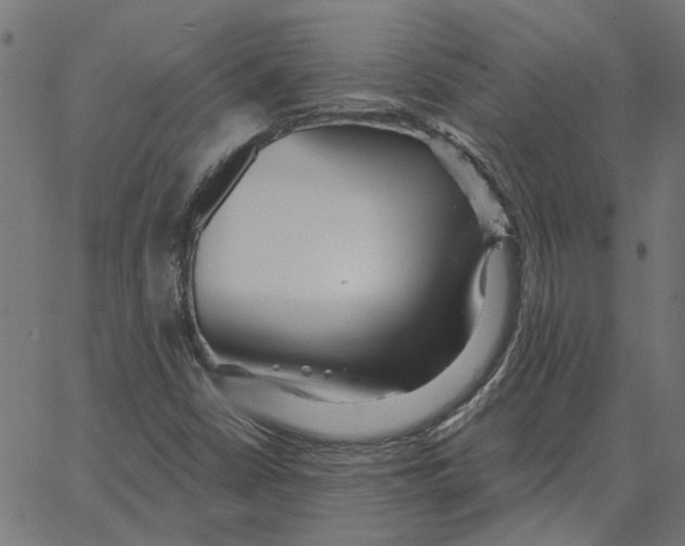 X0000067371402200604281739