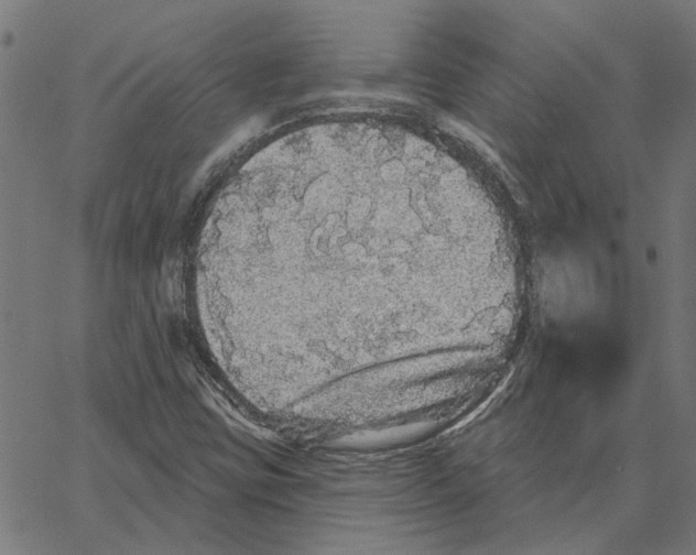 X0000067371403200604281739