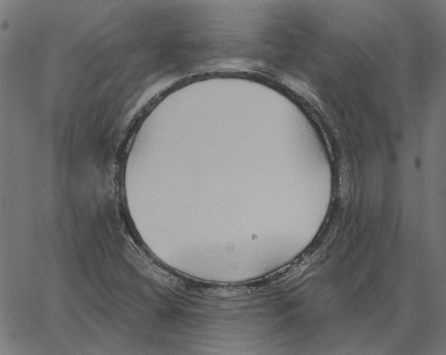 X0000067371404200604281739