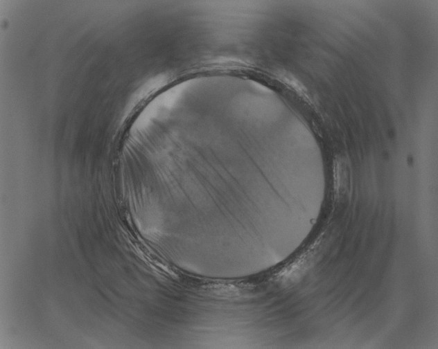 X0000067371405200604281739