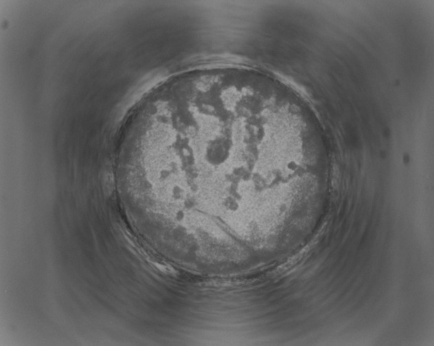 X0000067371407200604281739