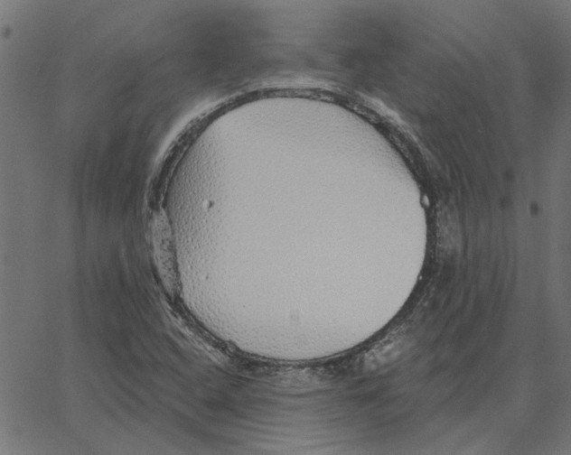 X0000067371408200604281739