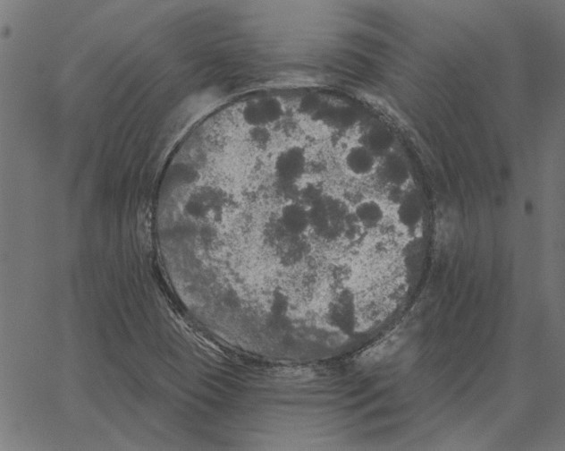 X0000067371409200604281739