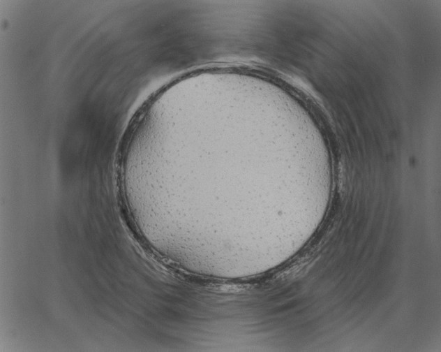 X0000067371412200604281739