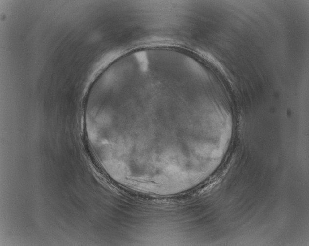 X0000067371413200604281739