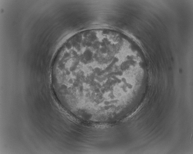 X0000067371415200604281739