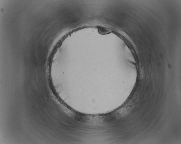 X0000067371416200604281739