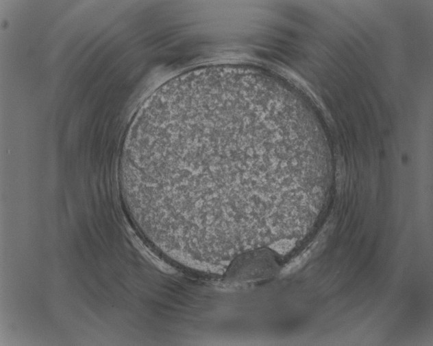 X0000067371417200604281739