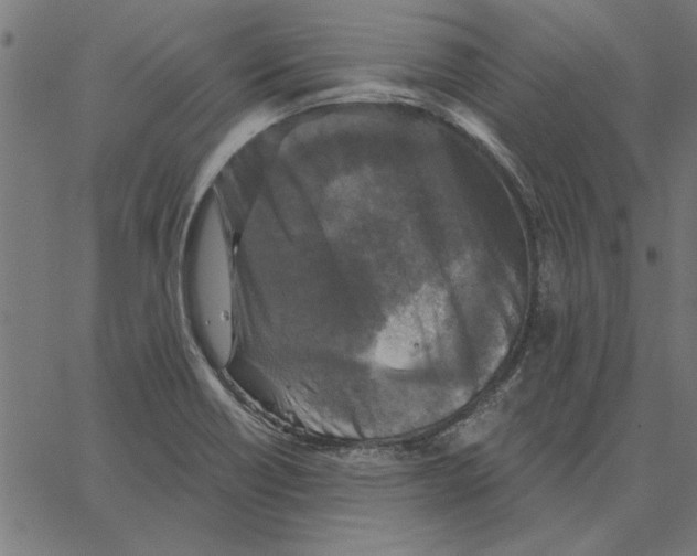 X0000067371418200604281739