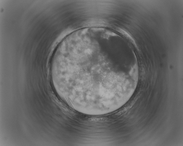 X0000067371419200604281739