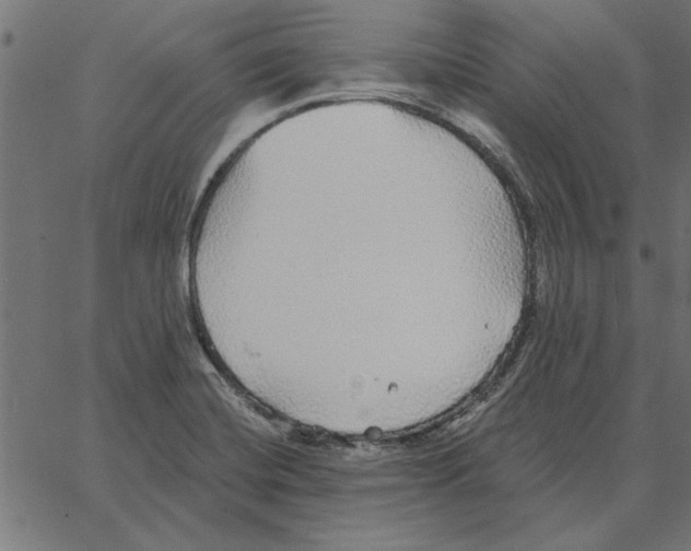 X0000067371420200604281739