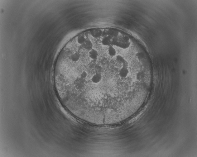 X0000067371421200604281739